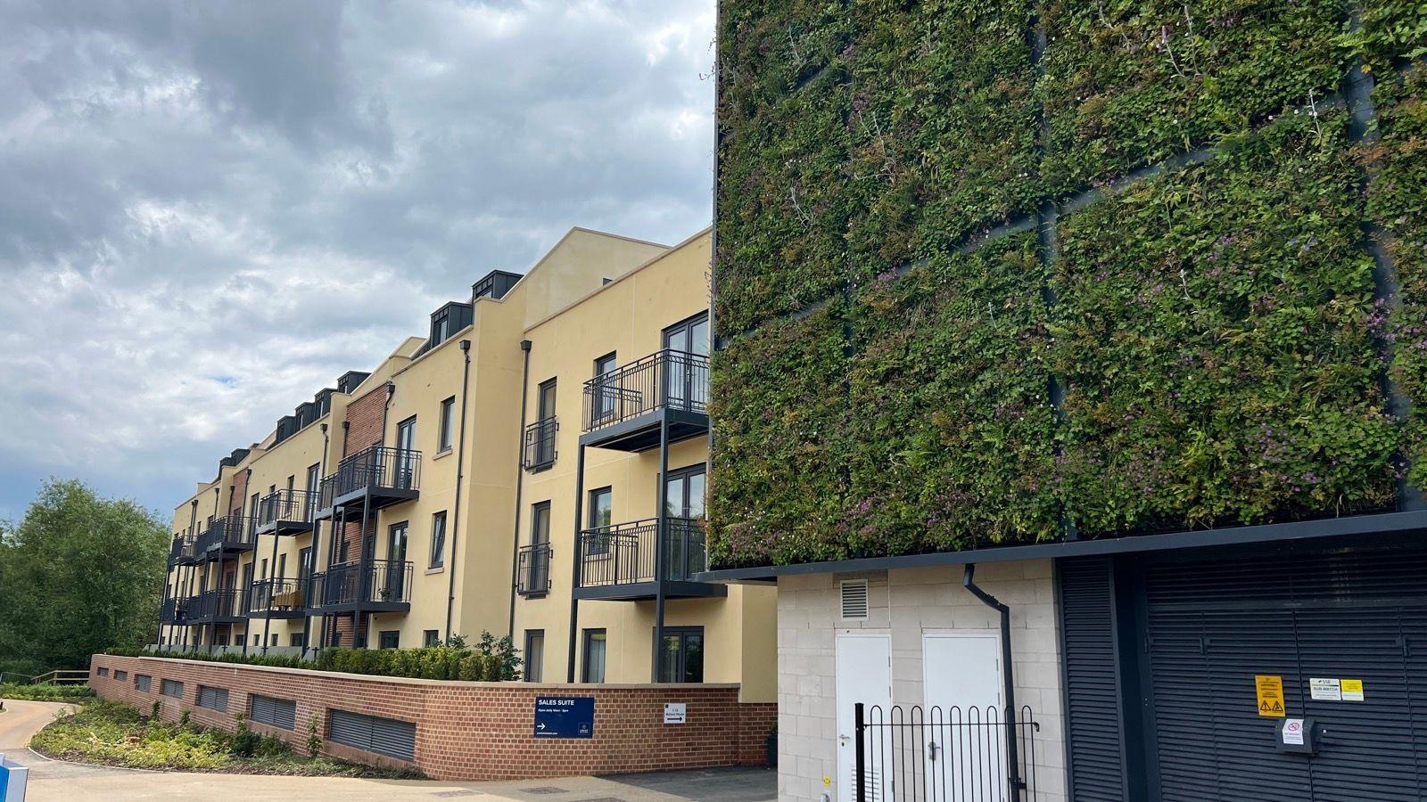 Farnham Town Centre Residential Development — K Rend Silicone Monocouche Render Installation